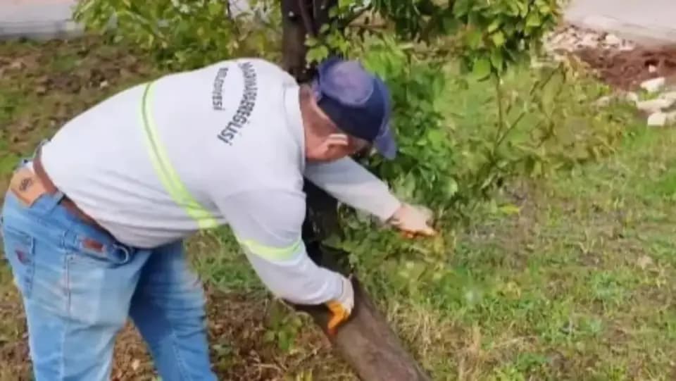 Marmaraereğlisi'nde Parklarda Bakım ve Çevre Düzenlemesi